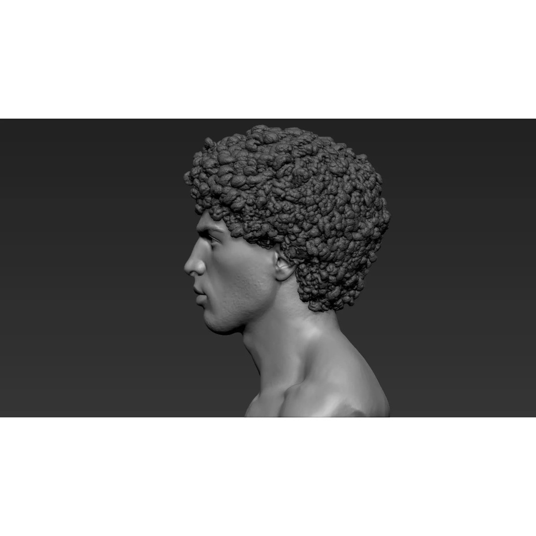 Male Bust 3D Model – High Poly Character Sculpture, ZTL & OBJ - View 6