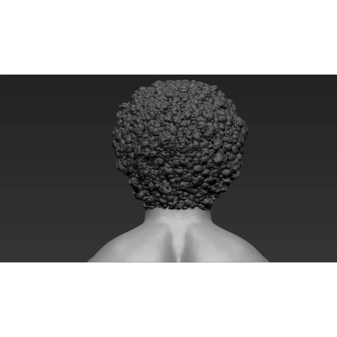 Male Bust 3D Model – High Poly Character Sculpture, ZTL & OBJ - View 8