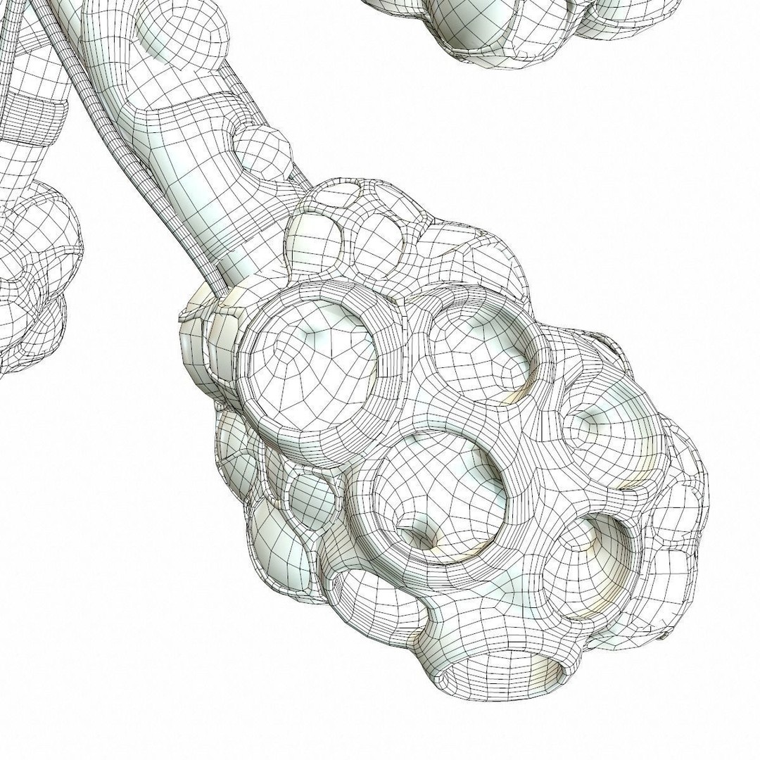 Realistic Human Bronchi Alveoli Anatomy 3D Model – PBR Medical Asset, FBX, OBJ - View 16