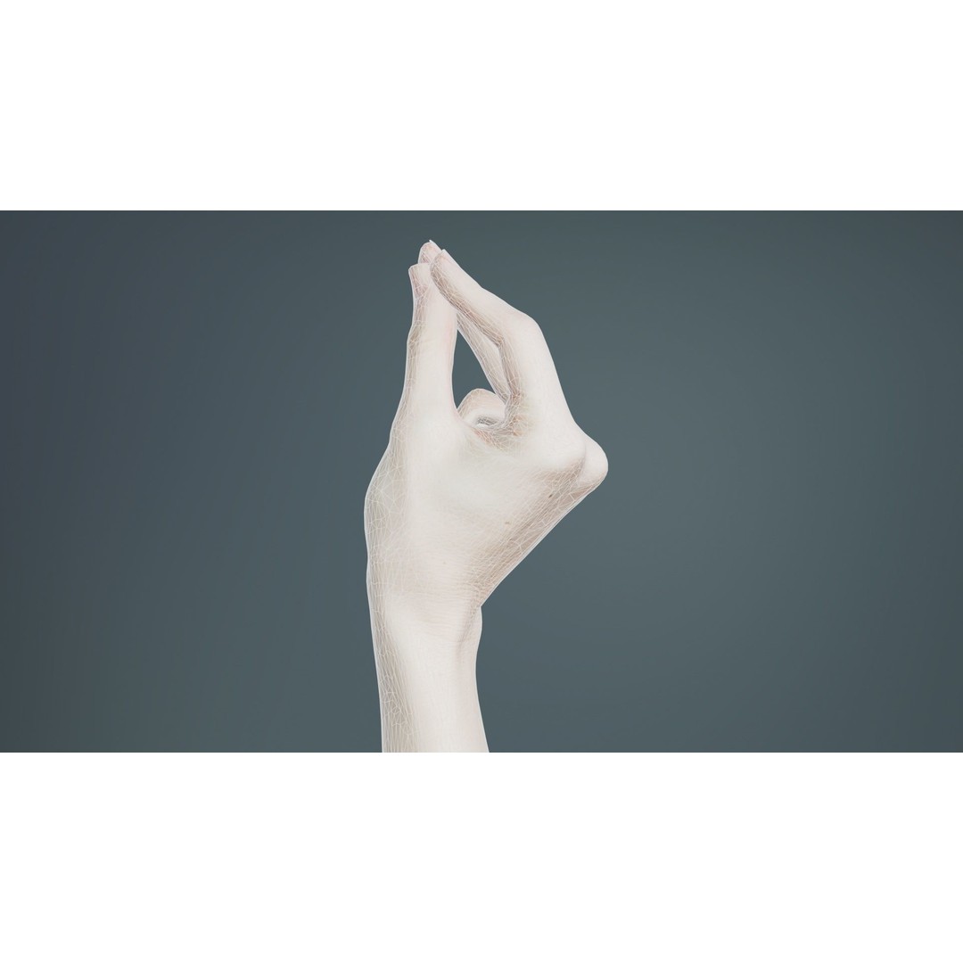 Single Hand 3D Model – Low Poly Character Asset, FBX, PBR - View 11