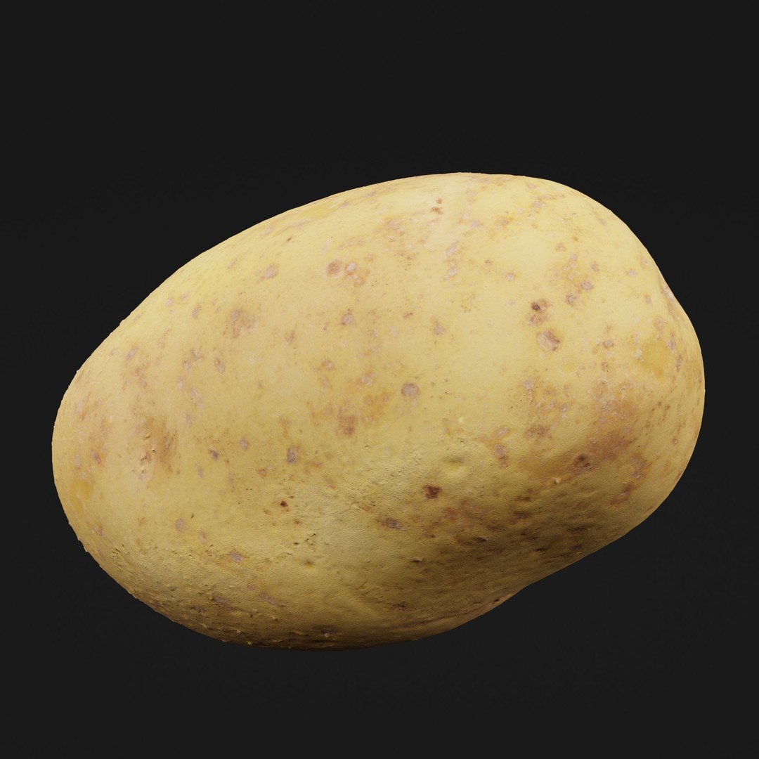 Potato 3D Model – Realistic Vegetable Asset, PBR Textures, FBX