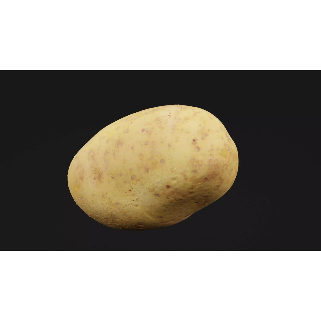 Potato 3D Model – Realistic Vegetable Asset, PBR Textures, FBX - View 2