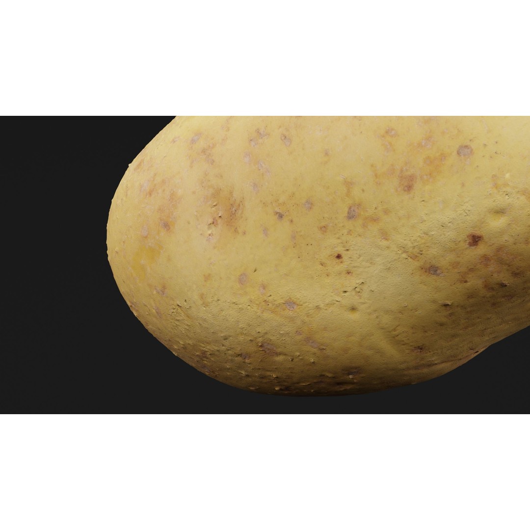 Potato 3D Model – Realistic Vegetable Asset, PBR Textures, FBX - View 4