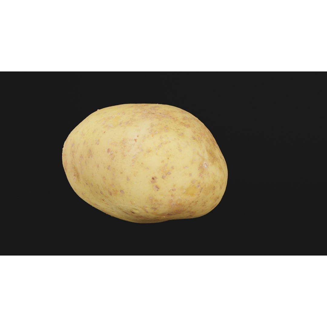 Potato 3D Model – Realistic Vegetable Asset, PBR Textures, FBX - View 6