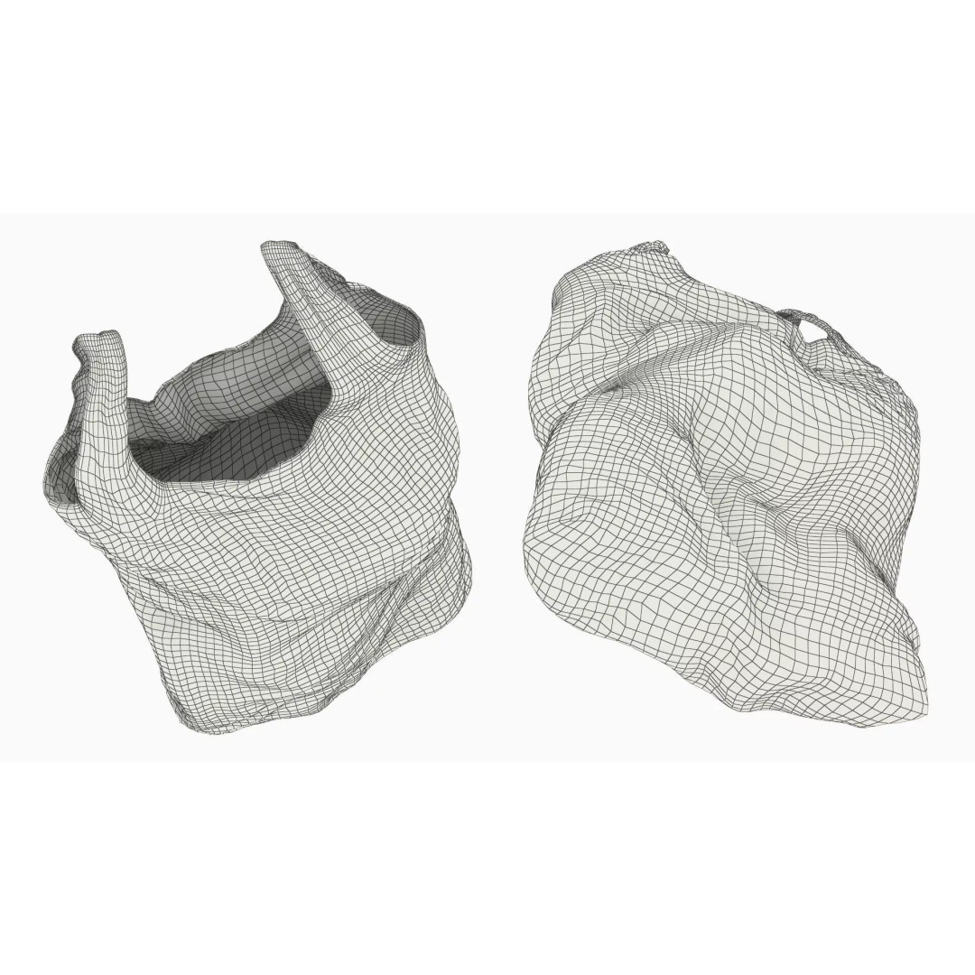 Used Grocery Shopping Bag 3D Model – Polyethylene Design, PBR Textures - View 9
