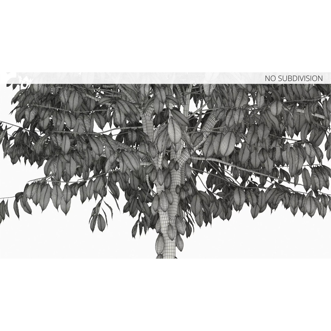 Theobroma Cocoa Tree 3D Model – High Poly PBR Asset for CGI - View 12