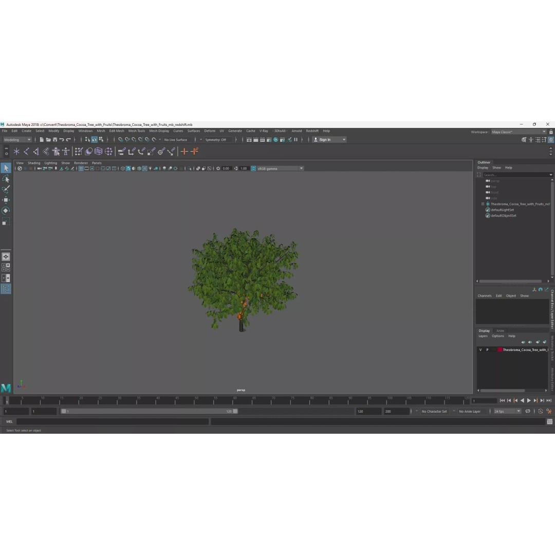 Theobroma Cocoa Tree 3D Model – High Poly PBR Asset for CGI - View 20