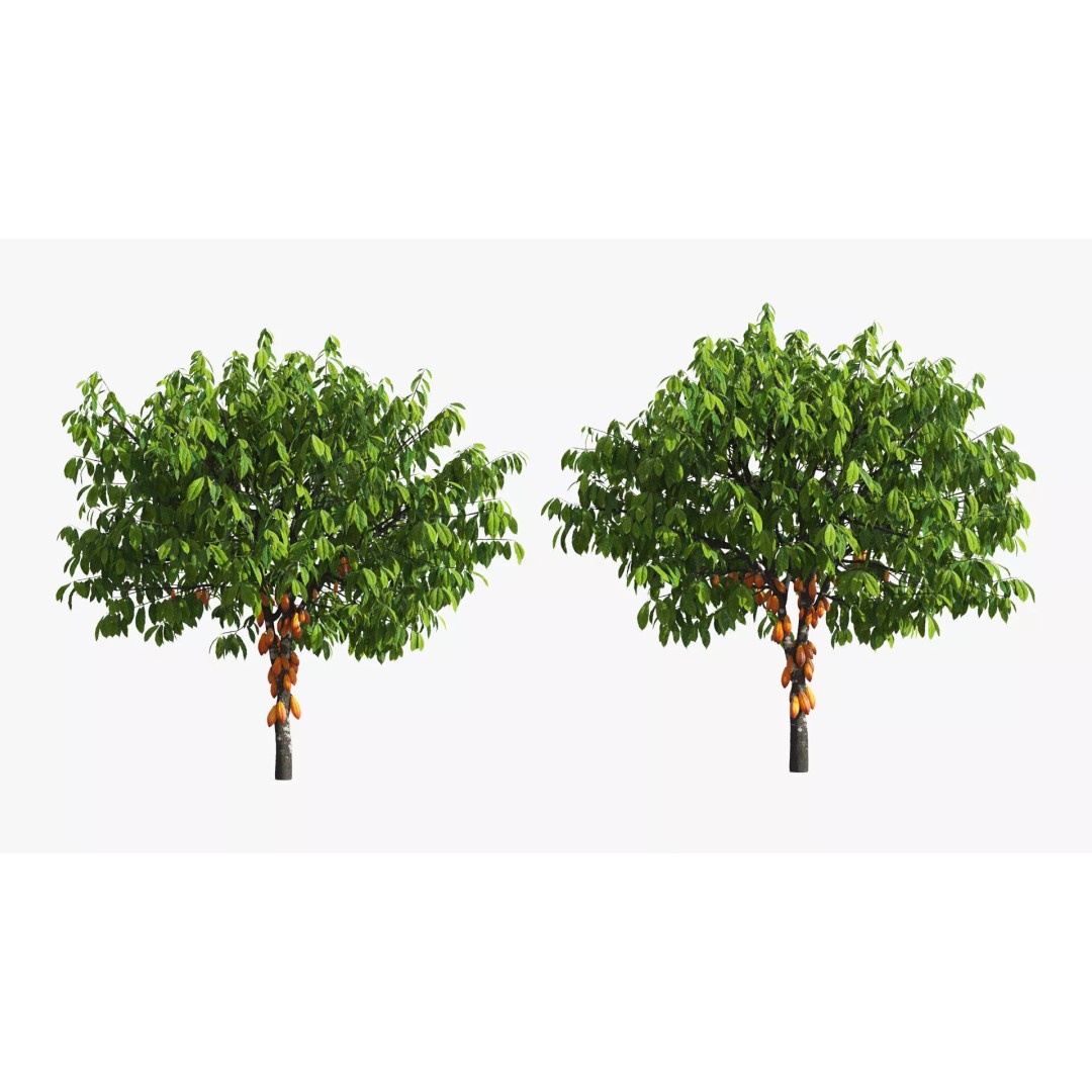 Theobroma Cocoa Tree 3D Model – High Poly PBR Asset for CGI - View 4