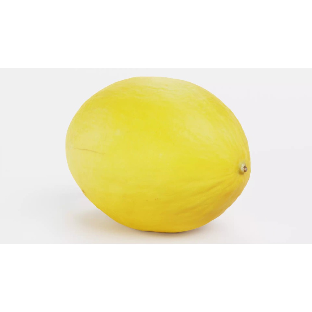 Sweet Yellow Melon 3D Model – Realistic Fruit Asset, Blender, PBR - View 2