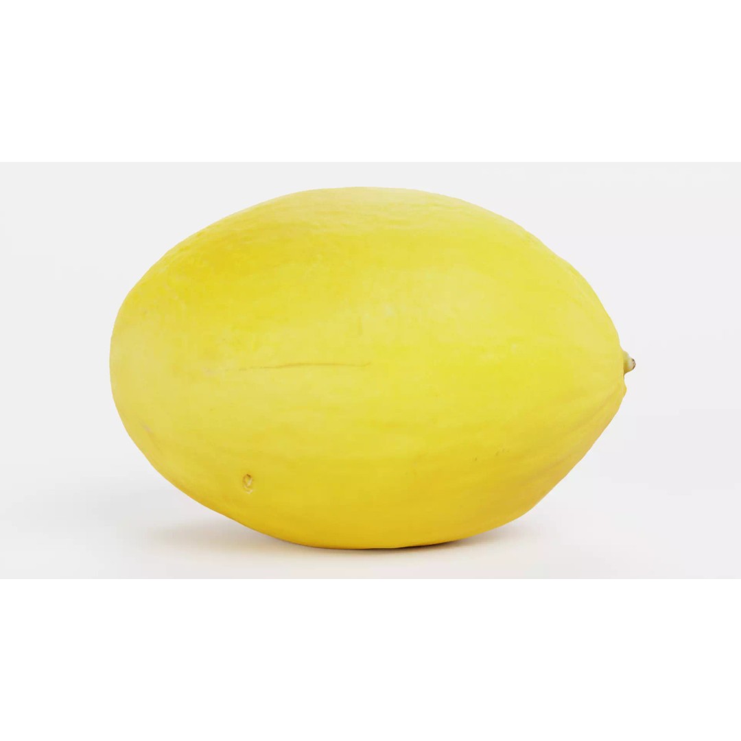 Sweet Yellow Melon 3D Model – Realistic Fruit Asset, Blender, PBR - View 3