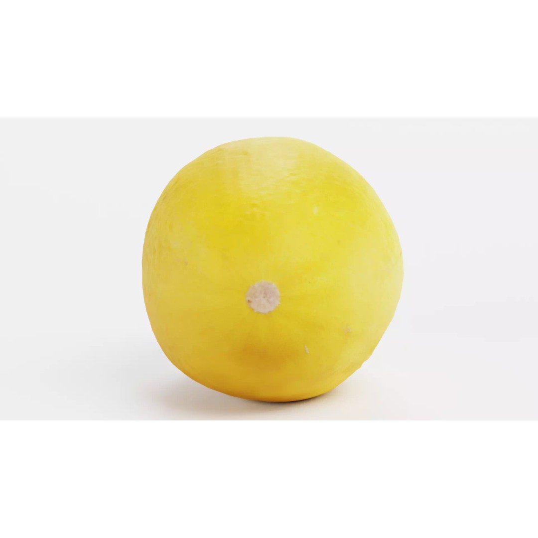 Sweet Yellow Melon 3D Model – Realistic Fruit Asset, Blender, PBR - View 5