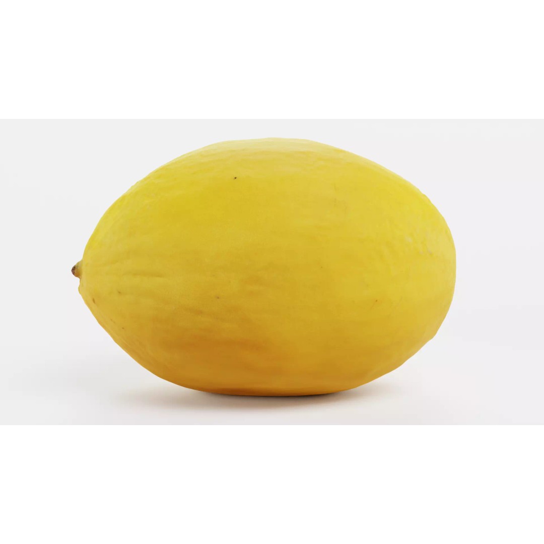 Sweet Yellow Melon 3D Model – Realistic Fruit Asset, Blender, PBR - View 6