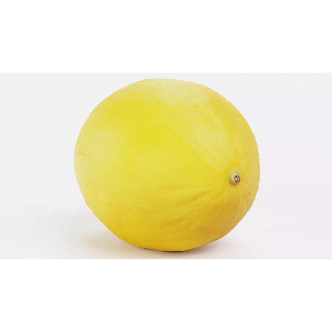 Sweet Yellow Melon 3D Model – Realistic Fruit Asset, Blender, PBR - View 7