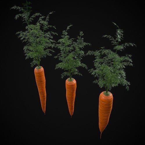 Carrot Basket 3D Model – Low Poly Game Ready Asset, FBX & OBJ - View 18