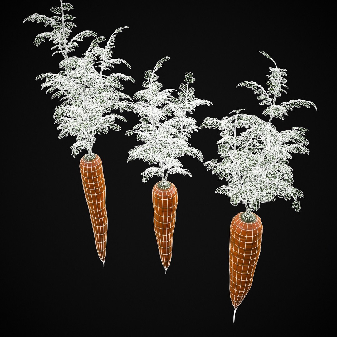 Carrot Basket 3D Model – Low Poly Game Ready Asset, FBX & OBJ - View 19