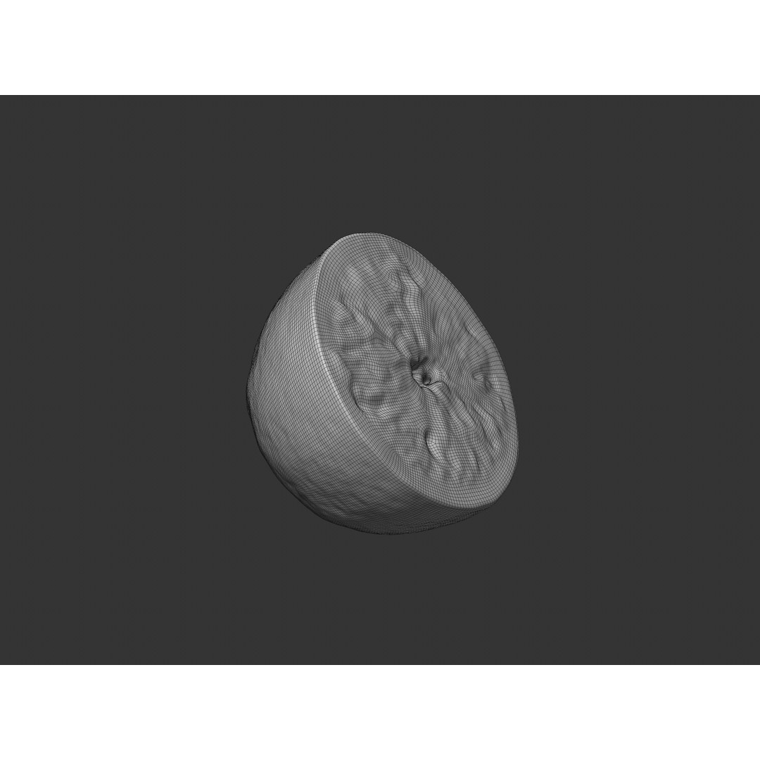 Half Lemon 3D Model – Realistic PBR Asset, FBX, OBJ, C4D - View 10