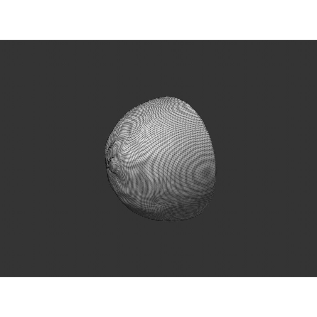 Half Lemon 3D Model – Realistic PBR Asset, FBX, OBJ, C4D - View 11