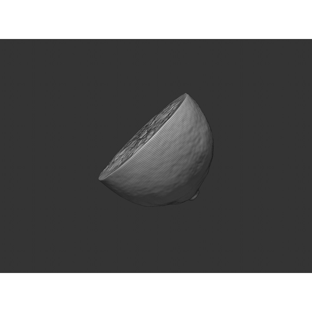 Half Lemon 3D Model – Realistic PBR Asset, FBX, OBJ, C4D - View 7
