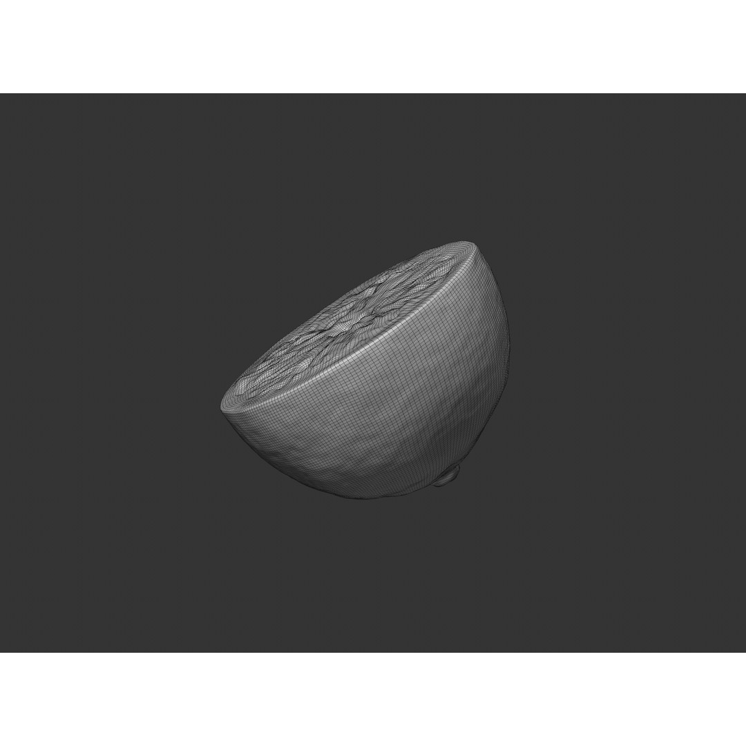 Half Lemon 3D Model – Realistic PBR Asset, FBX, OBJ, C4D - View 8