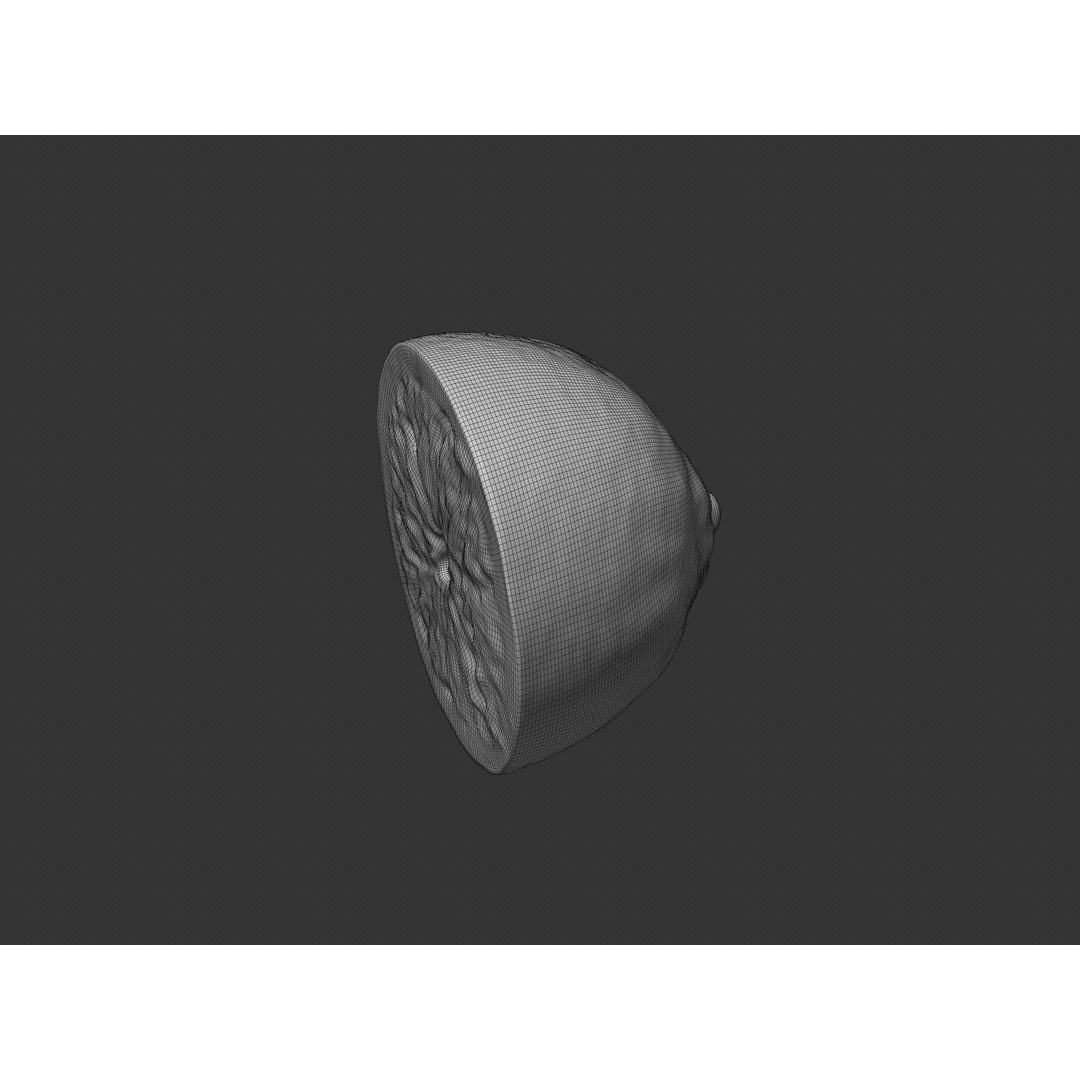 Half Lemon 3D Model – Realistic PBR Asset, FBX, OBJ, C4D - View 9