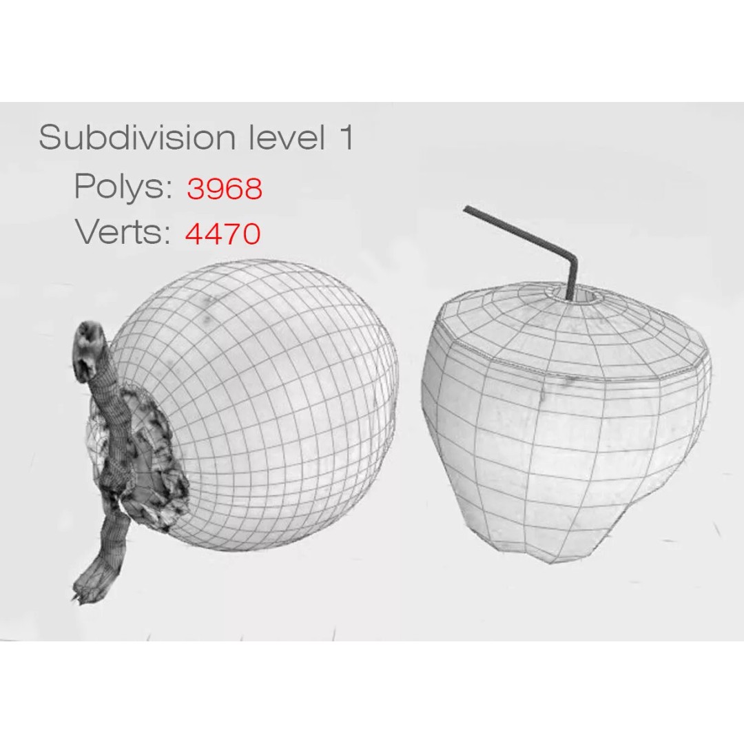 Realistic King Coconut 3D Model – Low Poly PBR Asset for Game Development - View 12
