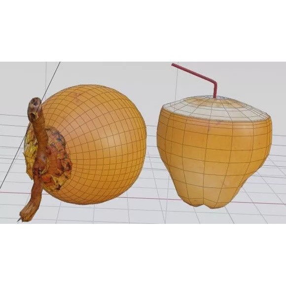 Realistic King Coconut 3D Model – Low Poly PBR Asset for Game Development - View 13