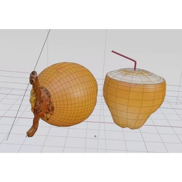Realistic King Coconut 3D Model – Low Poly PBR Asset for Game Development - View 14