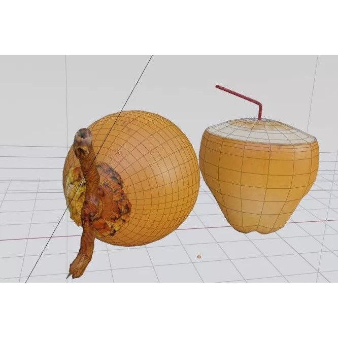 Realistic King Coconut 3D Model – Low Poly PBR Asset for Game Development - View 15