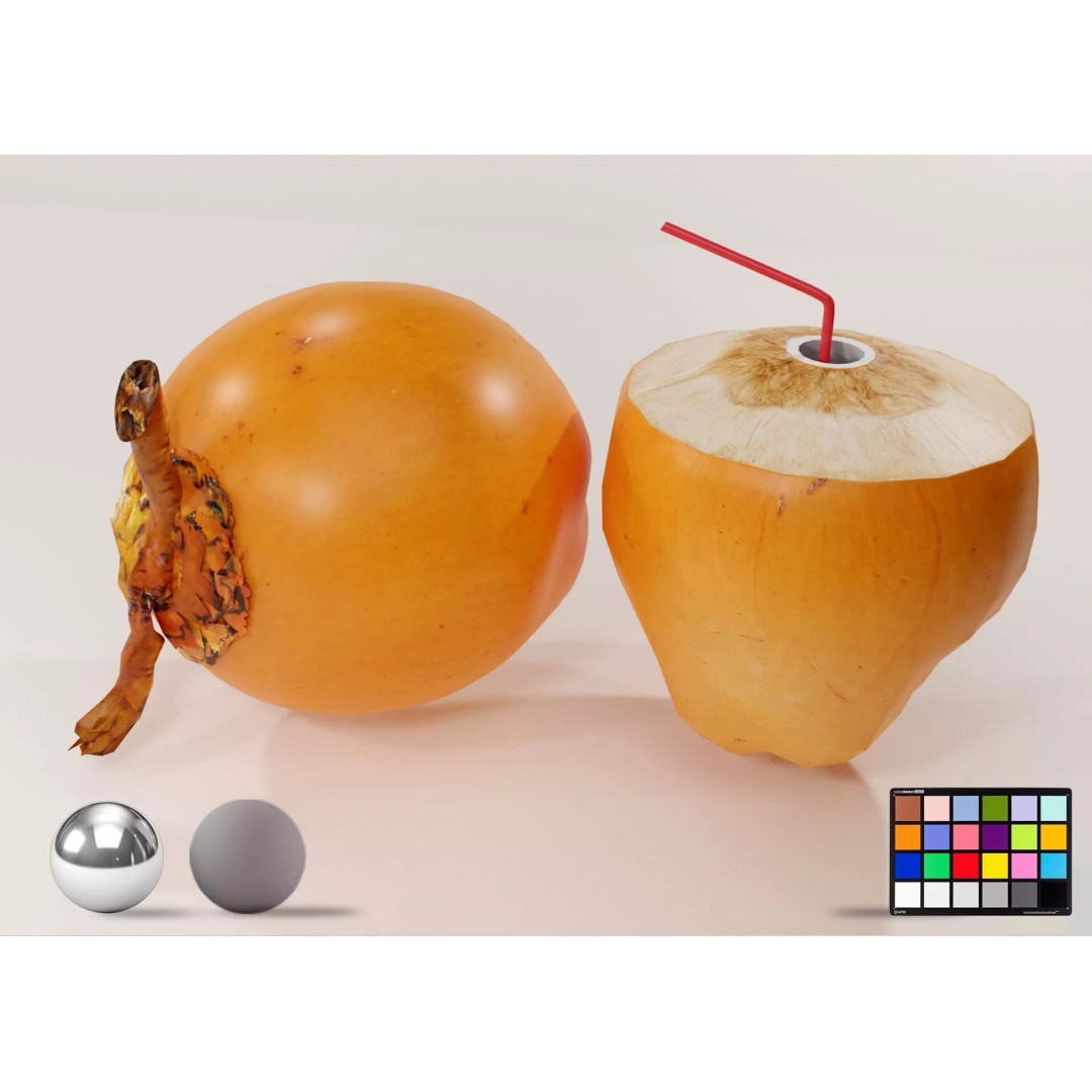 Realistic King Coconut 3D Model – Low Poly PBR Asset for Game Development - View 2