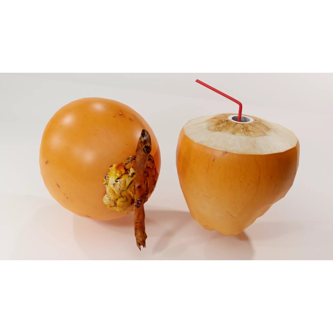 Realistic King Coconut 3D Model – Low Poly PBR Asset for Game Development - View 6