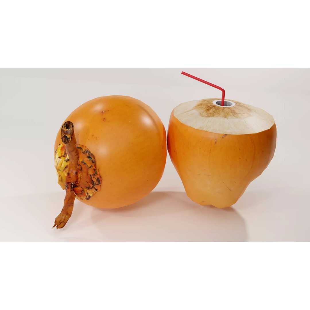 Realistic King Coconut 3D Model – Low Poly PBR Asset for Game Development - View 7