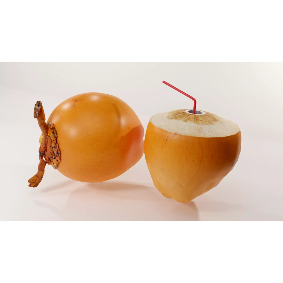 Realistic King Coconut 3D Model – Low Poly PBR Asset for Game Development - View 8