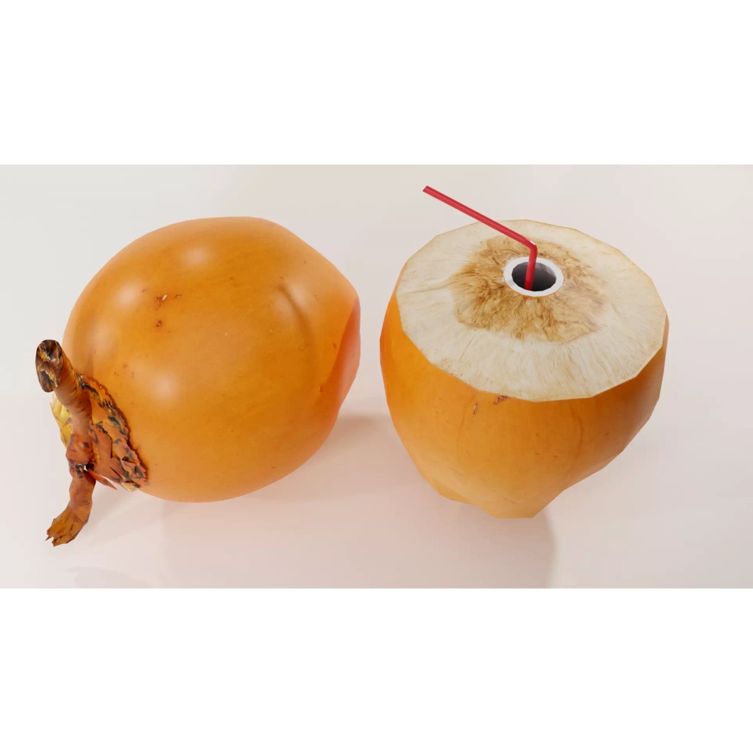 Realistic King Coconut 3D Model – Low Poly PBR Asset for Game Development - View 9