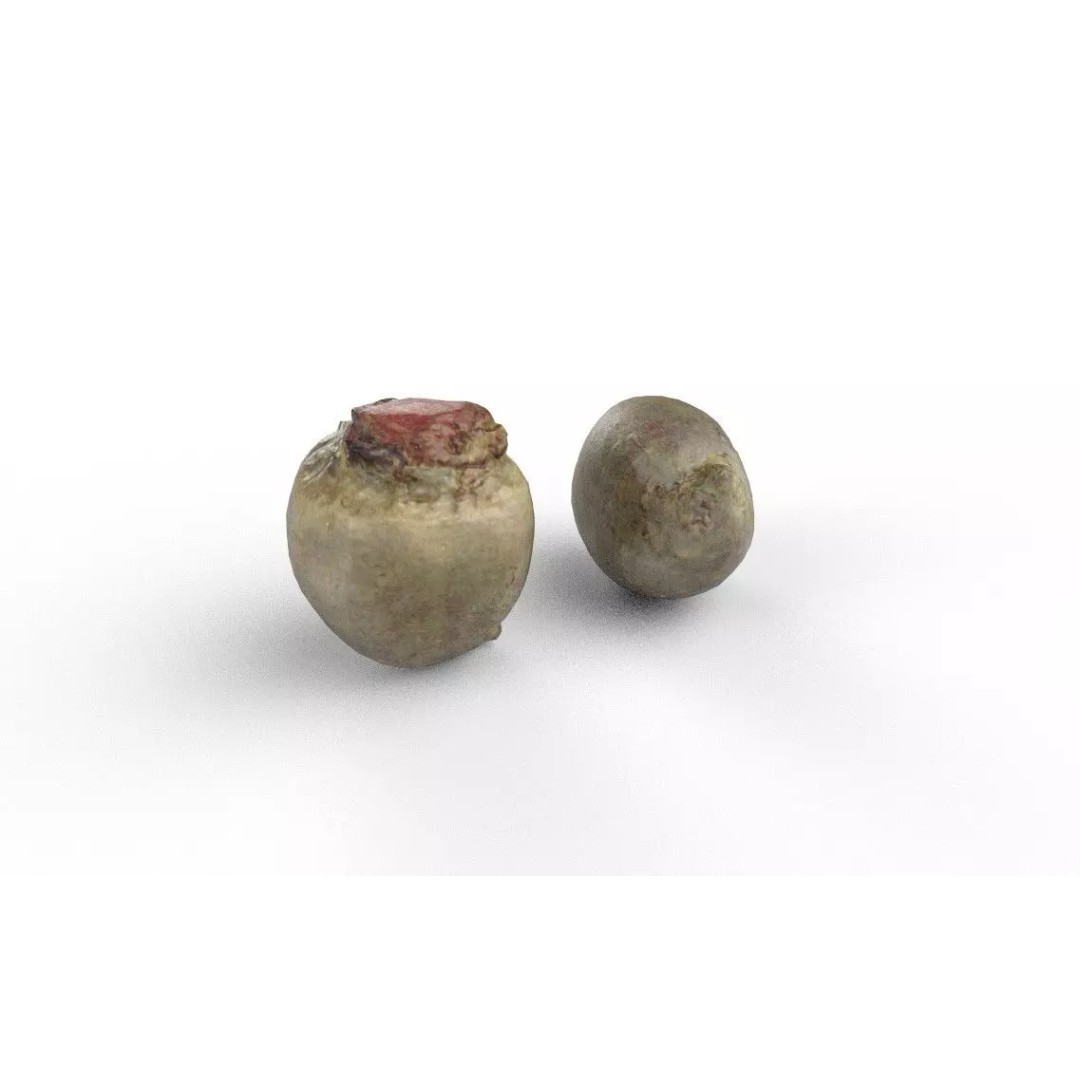 Beet 3D Model – Low Poly Game Asset, FBX, PBR Textures - View 2