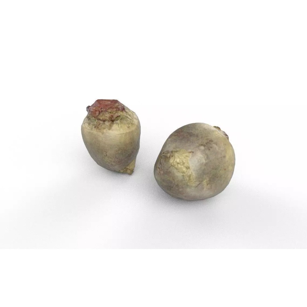 Beet 3D Model – Low Poly Game Asset, FBX, PBR Textures - View 5
