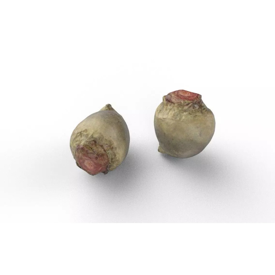 Beet 3D Model – Low Poly Game Asset, FBX, PBR Textures - View 6