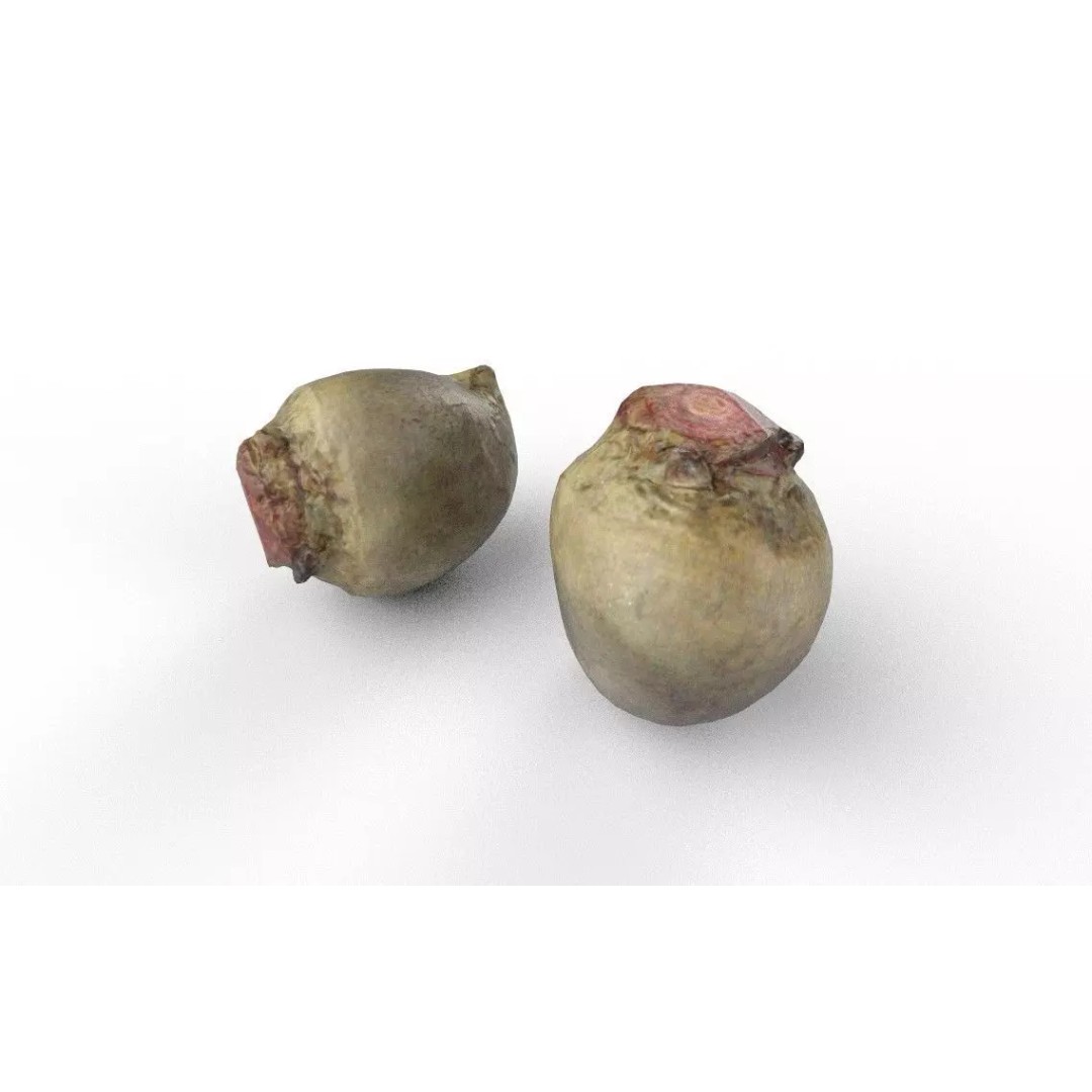 Beet 3D Model – Low Poly Game Asset, FBX, PBR Textures - View 7