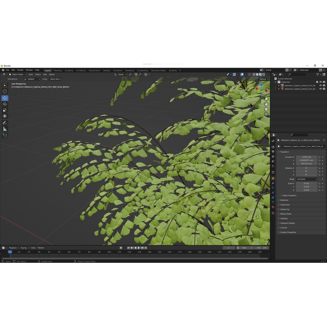 Adiantum Capillus Veneris Fern 3D Model – High Detail, Game Ready, Multiple Formats - View 7