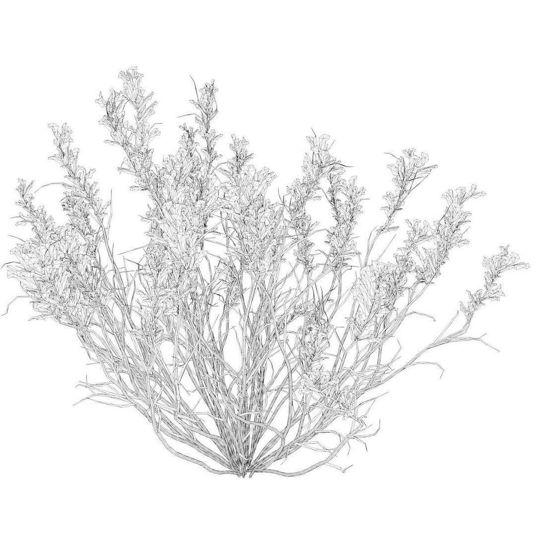 Broom Snakeweed 3D Model – Photorealistic Plant Asset, FBX - View 3