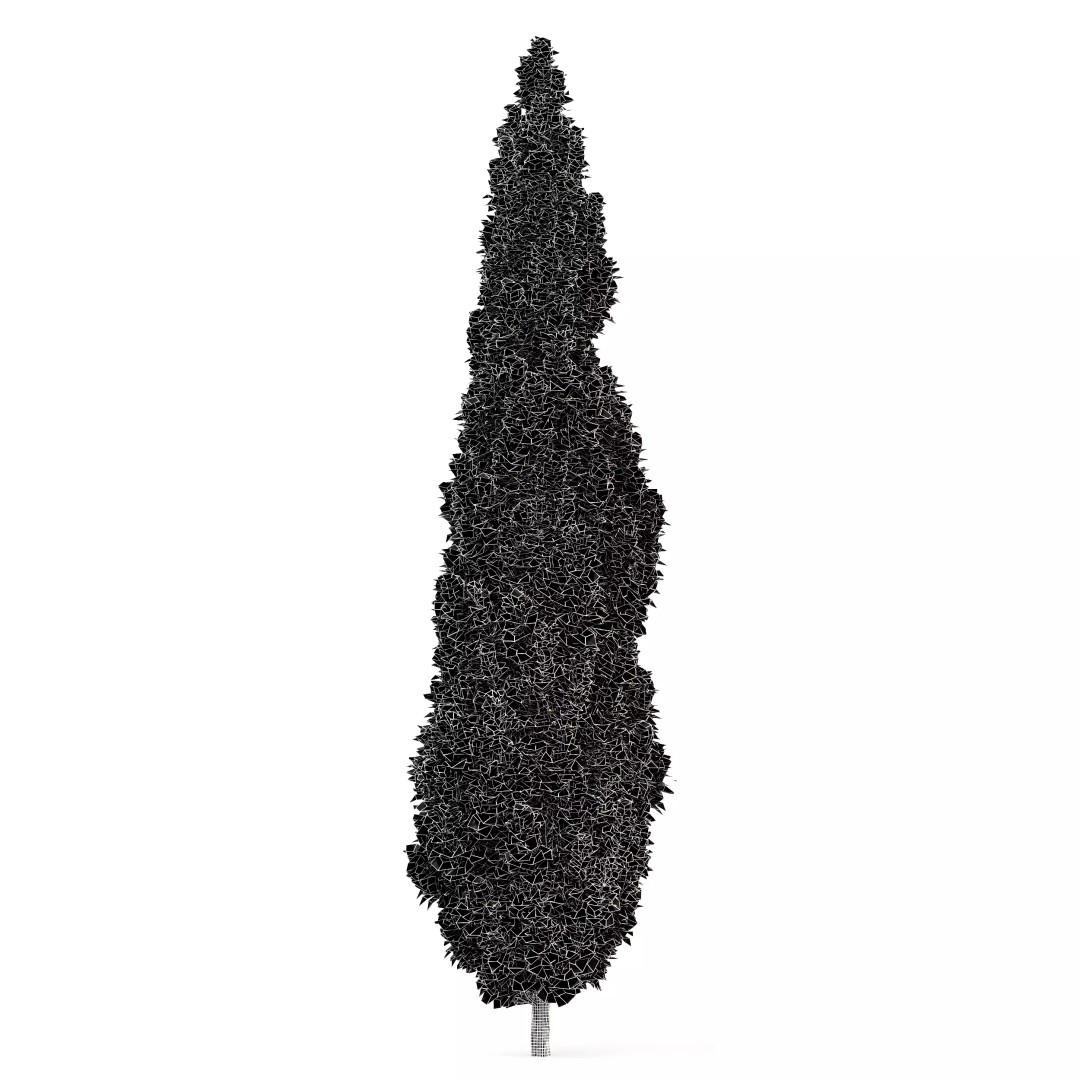 AV Spruce and Mediterranean Cypress 3D Model – Realistic Conifer Trees, FBX, OBJ - View 10