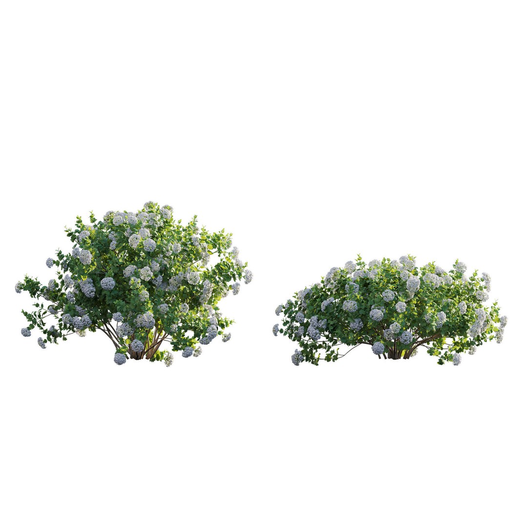 Viburnum opulus Roseum 3D Model – PBR Bush Asset, FBX Format - View 8