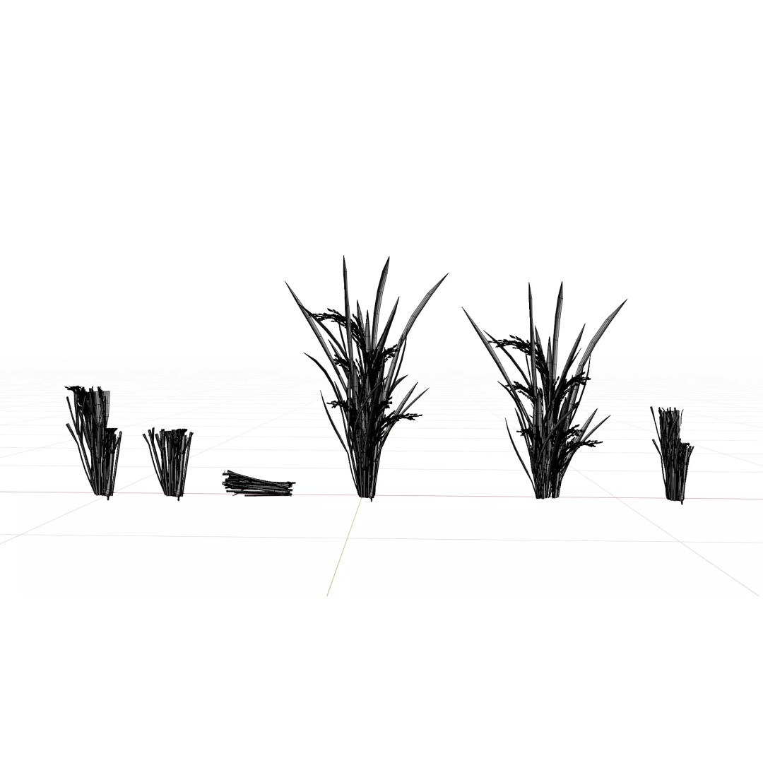 Rice Paddy Plant 3D Model – Realistic Agricultural Asset, FBX, OBJ