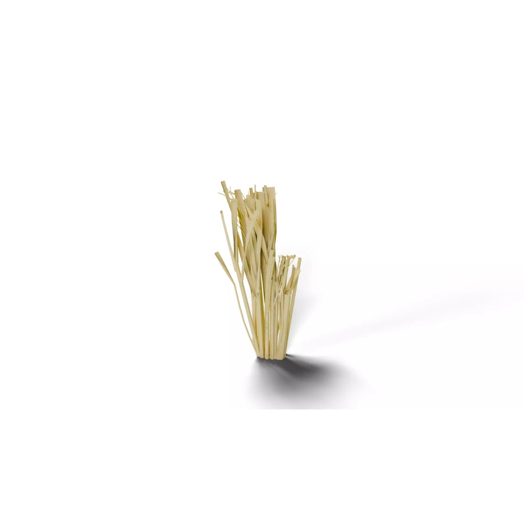 Rice Paddy Plant 3D Model – Realistic Agricultural Asset, FBX, OBJ - View 7