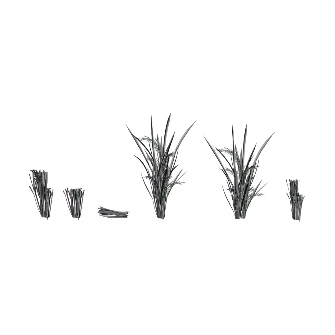 Rice Paddy Plant 3D Model – Realistic Agricultural Asset, FBX, OBJ - View 8