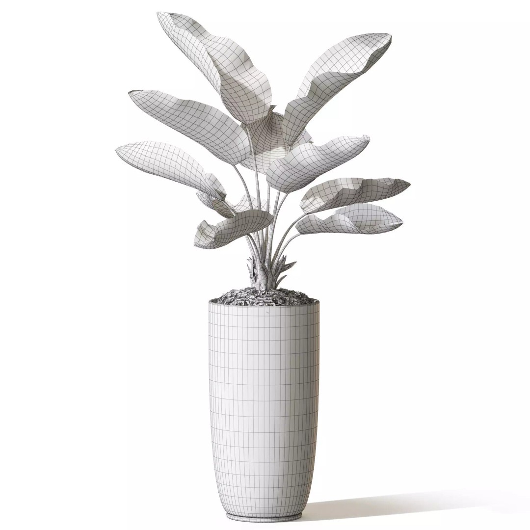 Plant 1313 3D Model – High-Quality Pot Plant for Archviz and Landscaping - View 6