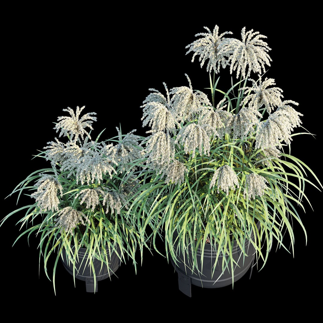 Parlronn Plant Pot 3D Model – High Poly PBR Asset, FBX