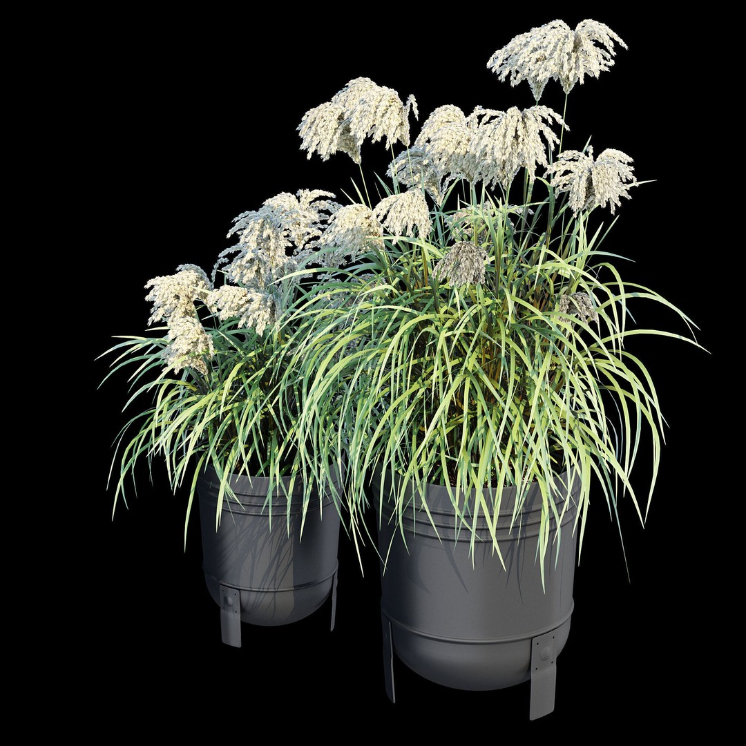 Parlronn Plant Pot 3D Model – High Poly PBR Asset, FBX - View 16