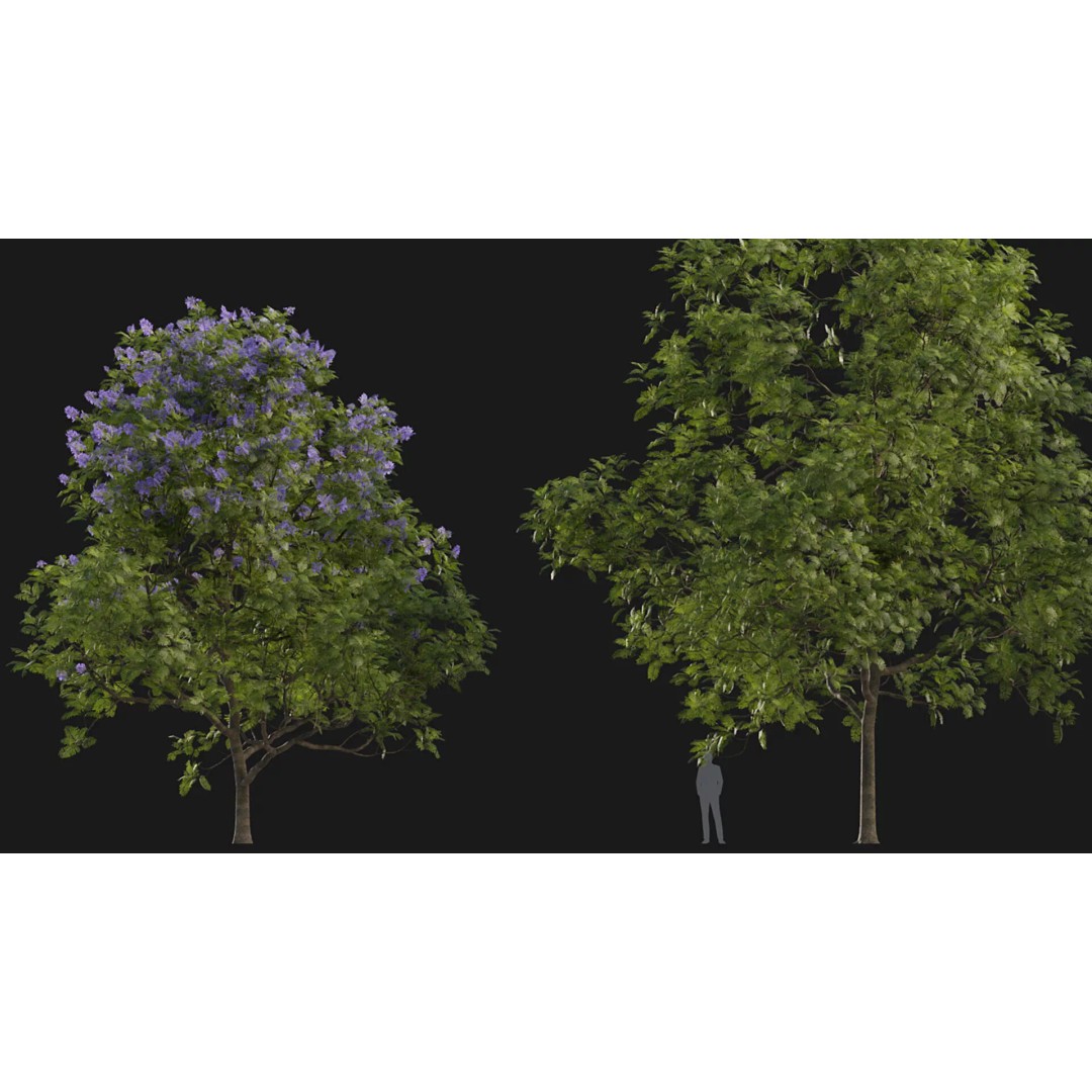 Jacaranda mimosifolia 3D Model – Low Poly Game-Ready Asset, FBX - View 6