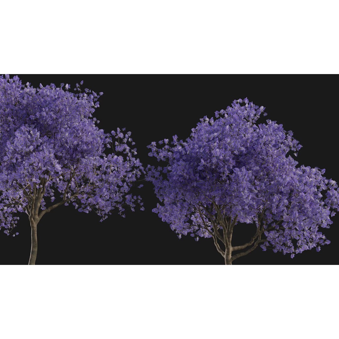 Jacaranda mimosifolia 3D Model – Low Poly Game-Ready Asset, FBX - View 7