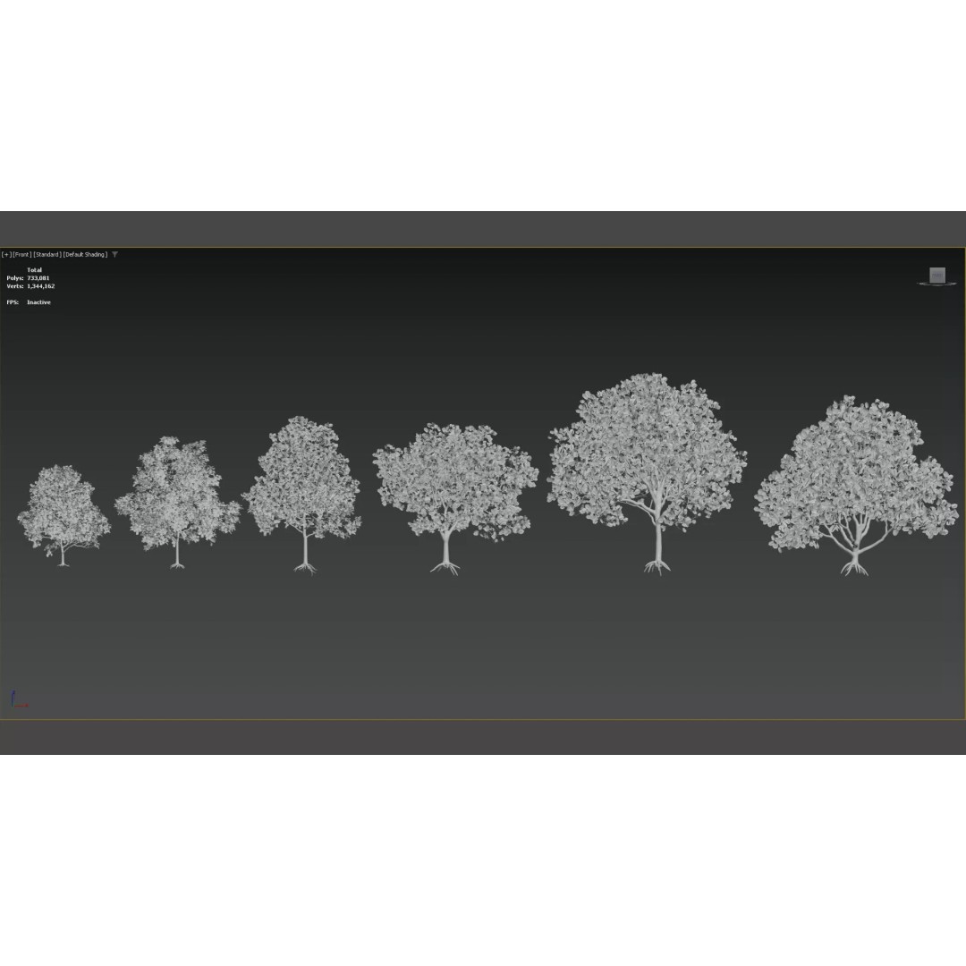 Jacaranda mimosifolia 3D Model – Low Poly Game-Ready Asset, FBX - View 8